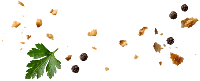 02-1-removebg-1